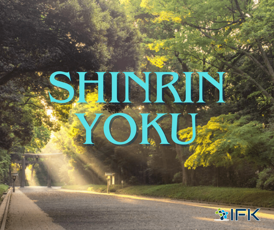 KHOẢNG THỜI GIAN TRONG NĂM DÀNH CHO SHINRIN-YOKU (TẮM RỪNG)