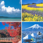 Các mùa và khí hậu của Nhật Bản (Phần 2)